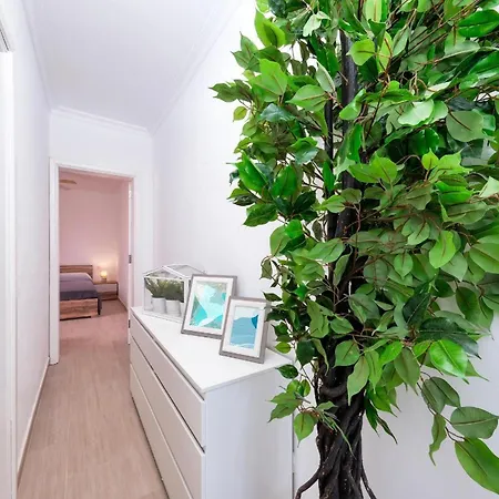 Dream Papagayo, * 普拉亚布兰卡